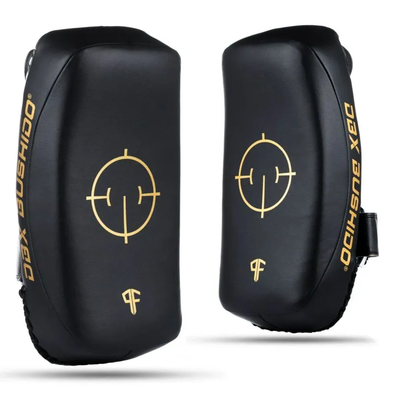 Ζεύγος Ασπίδων PAO Gold Thai ProFighter - DBX Bushido