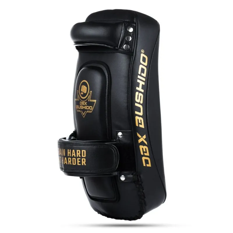 Ζεύγος Ασπίδων PAO Gold Thai ProFighter - DBX Bushido - Image 6
