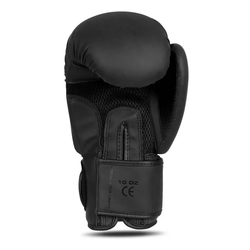 Πυγμαχικά Γάντια Boxing Gloves Mono Valor Series - DBX - Image 5